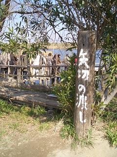 柴又帝釈天から矢切の渡しに乗って_c0135971_1215172.jpg