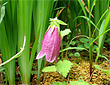 a0107574_23523416.jpg