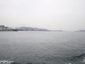 a0096787_21391739.gif