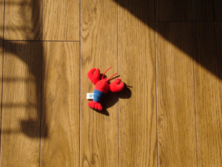 c0089792_20303884.jpg