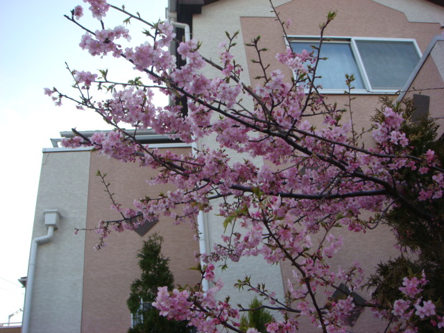f0137694_7303284.jpg