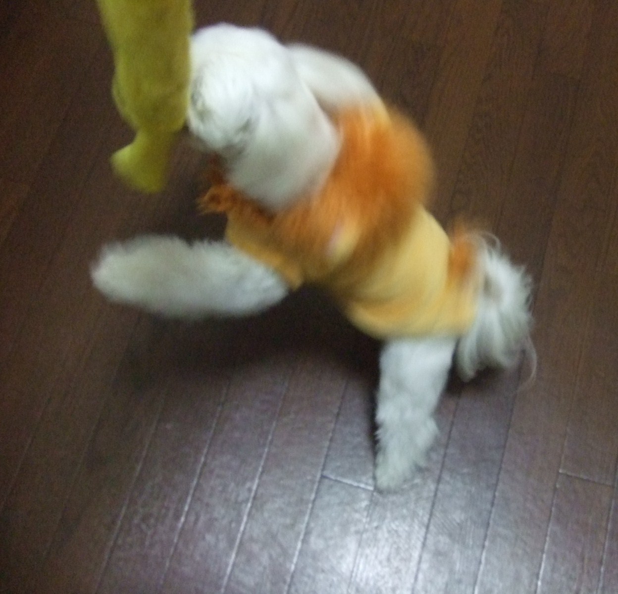 f0148595_10351993.jpg