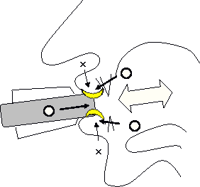 a0009196_19572292.gif