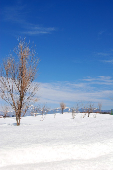 向こうに見えるは、八ヶ岳●～*_a0053796_2242873.jpg