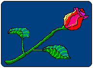 f0154805_2020623.gif
