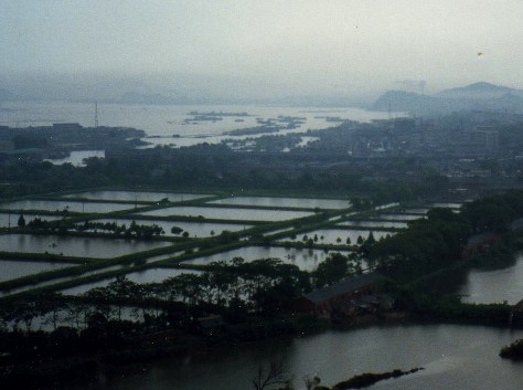 d0140806_164866.jpg