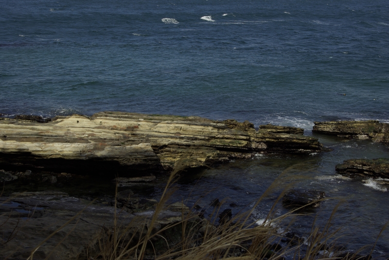 c0156908_92312.jpg