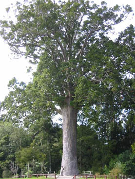 f0159026_22255779.jpg