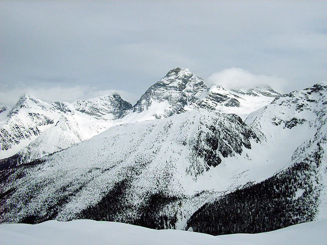 バックカントリースキー in Rogers Pass & Crrowfoot Mountains