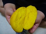 c0124333_22235100.jpg