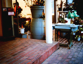 a0082146_13788.jpg