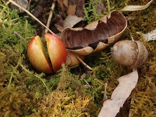 d0048350_21564961.jpg