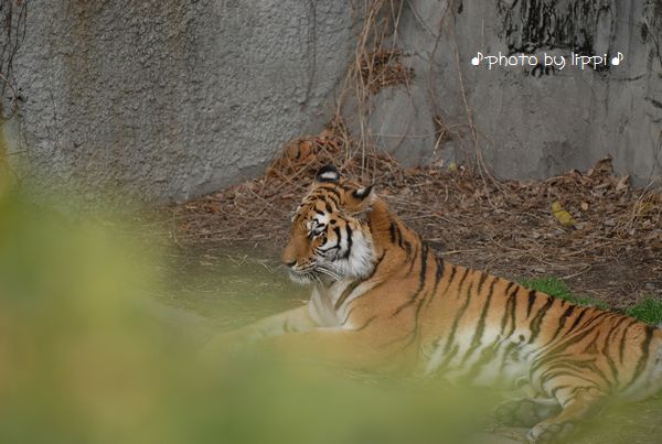 b0024758_0495238.jpg