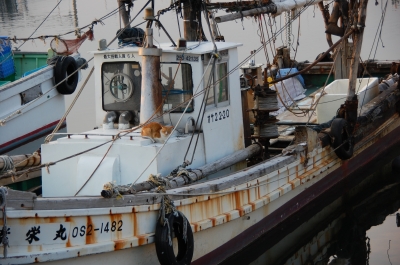 c0108460_13261880.jpg