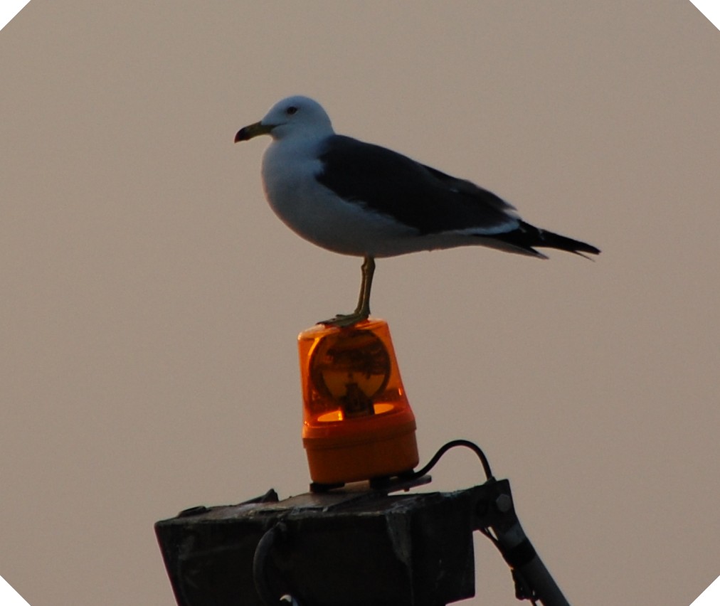 c0108460_13274577.jpg