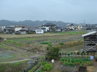 c0108460_1343276.jpg