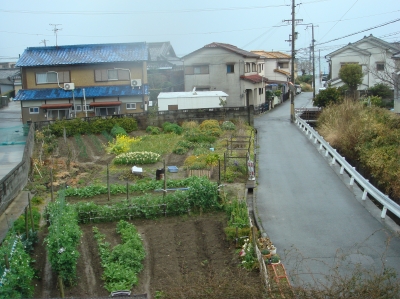 嵐の日は室内で雑用_c0108460_135446.jpg