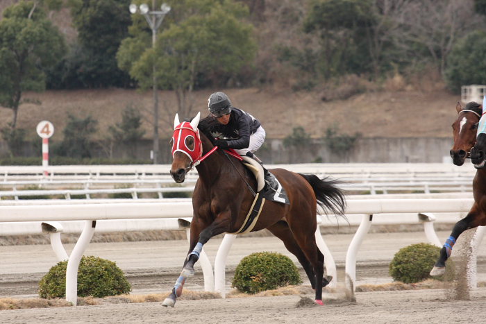 2008年3月9日（日） 高知競馬 2R_a0077663_18104314.jpg