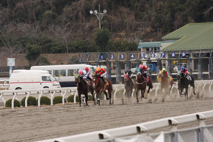 2008年3月9日（日） 高知競馬 2R_a0077663_18105989.jpg