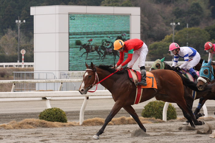 2008年3月9日（日） 高知競馬 2R_a0077663_18111697.jpg