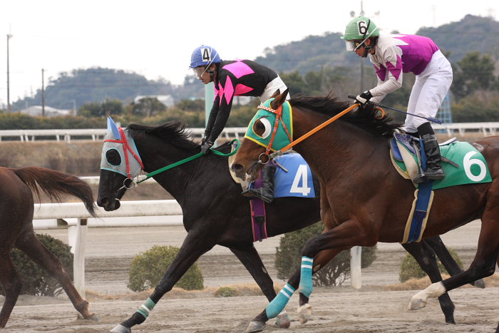 2008年3月9日（日） 高知競馬 2R_a0077663_1811345.jpg