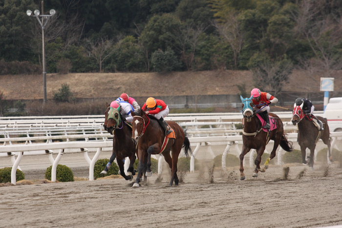 2008年3月9日（日） 高知競馬 2R_a0077663_1811685.jpg