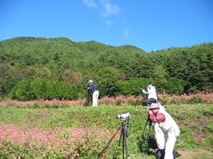 赤蕎麦の里_d0149663_17161928.jpg