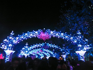 b0056570_23294655.jpg
