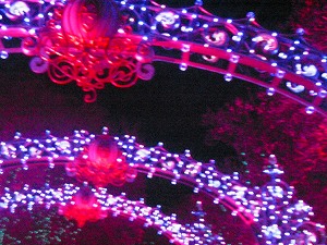 b0056570_23312038.jpg