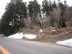 長久保遺跡出土縄文土器文様が課題_a0087378_3582527.jpg