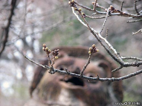 分福茶釜の茂林寺_f0150682_181659100.jpg