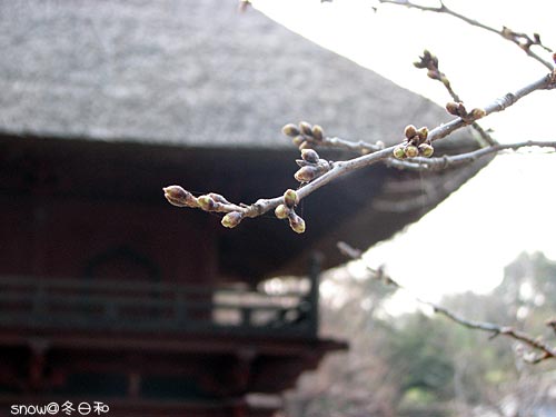 分福茶釜の茂林寺_f0150682_1894343.jpg