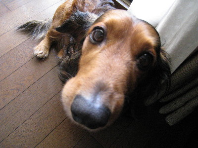 c0132387_111117.jpg