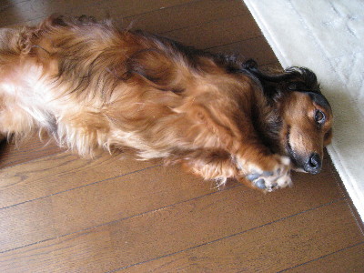 c0132387_1114237.jpg