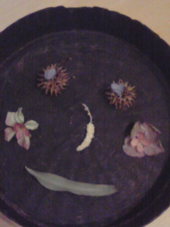 smile!_d0104091_975563.jpg