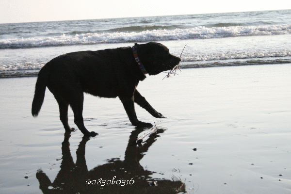 c0149893_005056.gif
