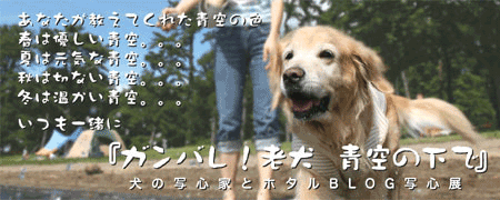 c0149893_0172486.gif