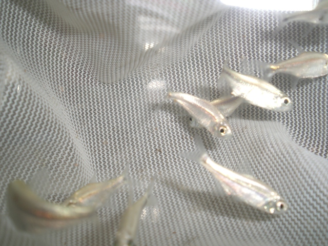 e0143096_14372016.jpg