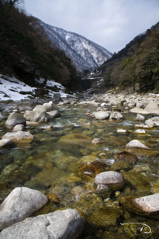 2008年蒲田川二日目（高原川本流）_f0085599_0261079.jpg