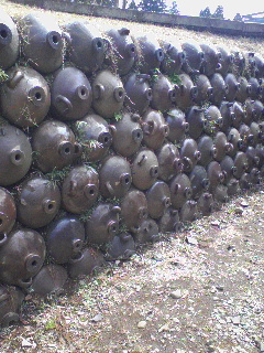c0023406_1731966.jpg