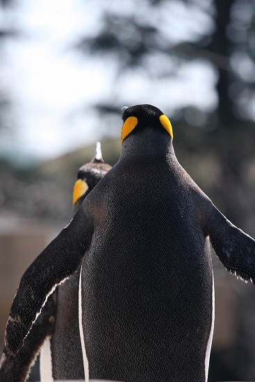 動物園にて・・（１）_c0130306_10444432.jpg