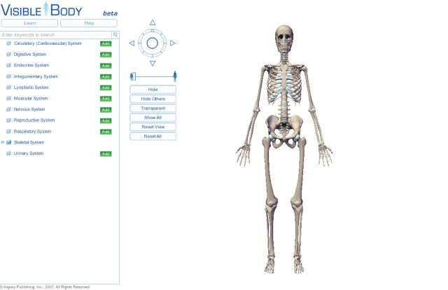 自由自在にコントロールできる3D人体模型_c0025115_2020105.jpg