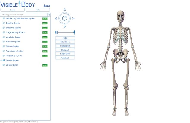 自由自在にコントロールできる３Ｄ人体模型_c0025115_2020105.jpg