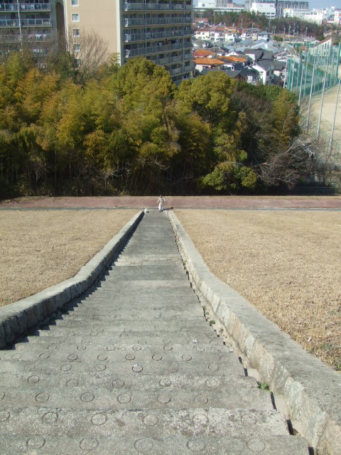 f0090117_18462949.jpg
