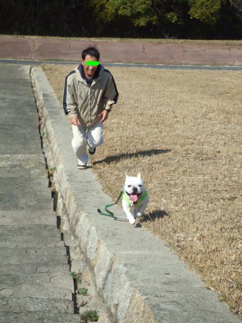 f0090117_18525061.jpg