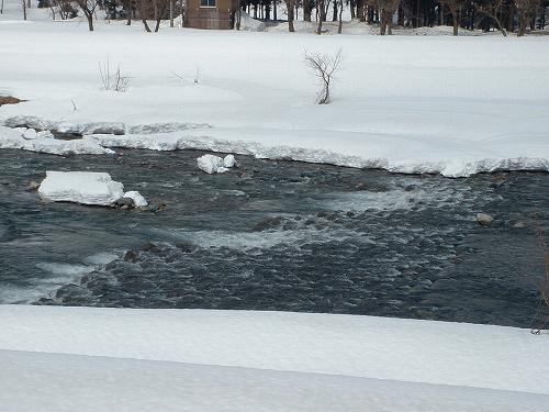 水無川の雪が消えて、雪解け水の量も増えました_d0015124_1351138.jpg