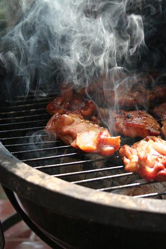 焼き鳥_d0042827_13324521.jpg