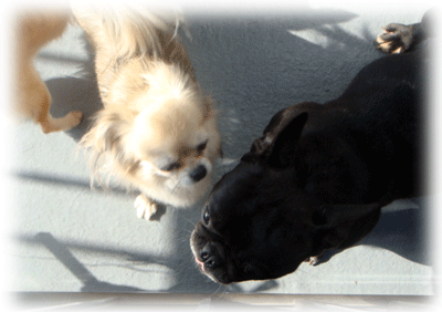 b0078030_23381146.gif