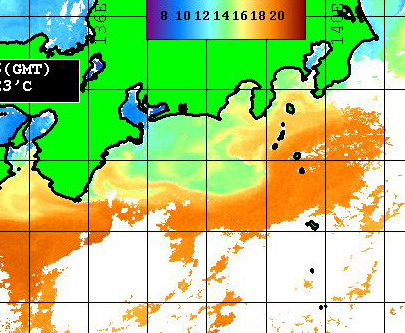 黒潮の勢いがちょっと変わってきたような・・・　　　　　[カジキ・マグロトローリング]_f0009039_16595320.jpg