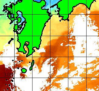 黒潮の勢いがちょっと変わってきたような・・・　　　　　[カジキ・マグロトローリング]_f0009039_1704643.jpg